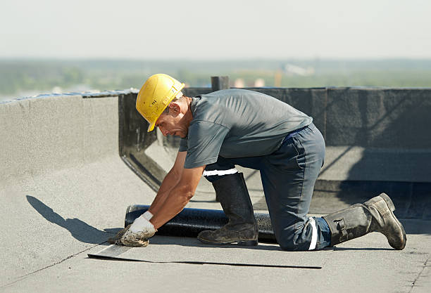 Best Residential Insulation in Edgewood, TX