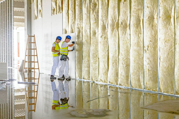 Best Insulation for Specific Applications in Edgewood, TX